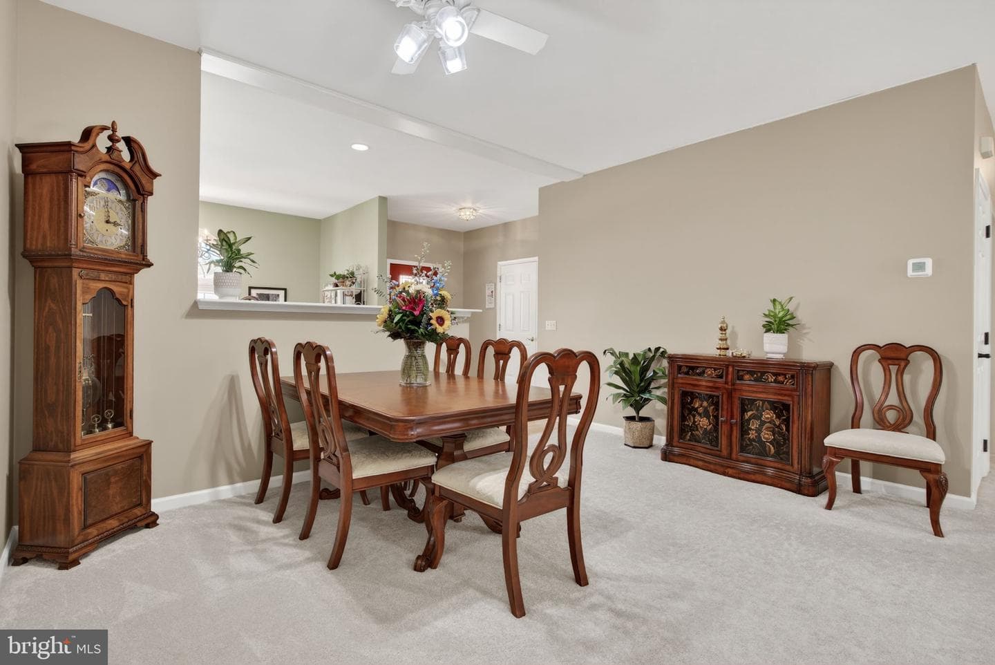24 Hickory Street photo 8