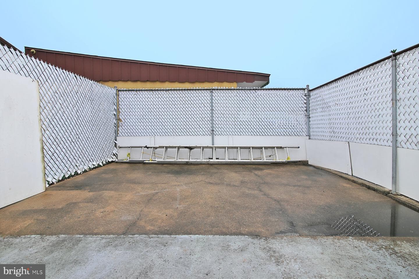 1127 Willow Street photo 6