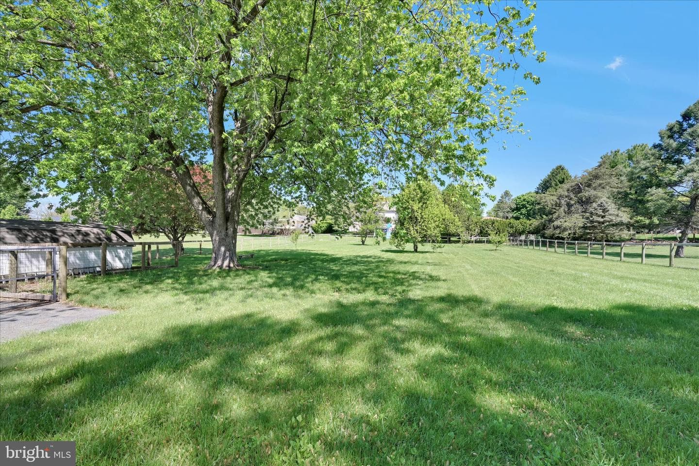 255 Kathy Court photo 29