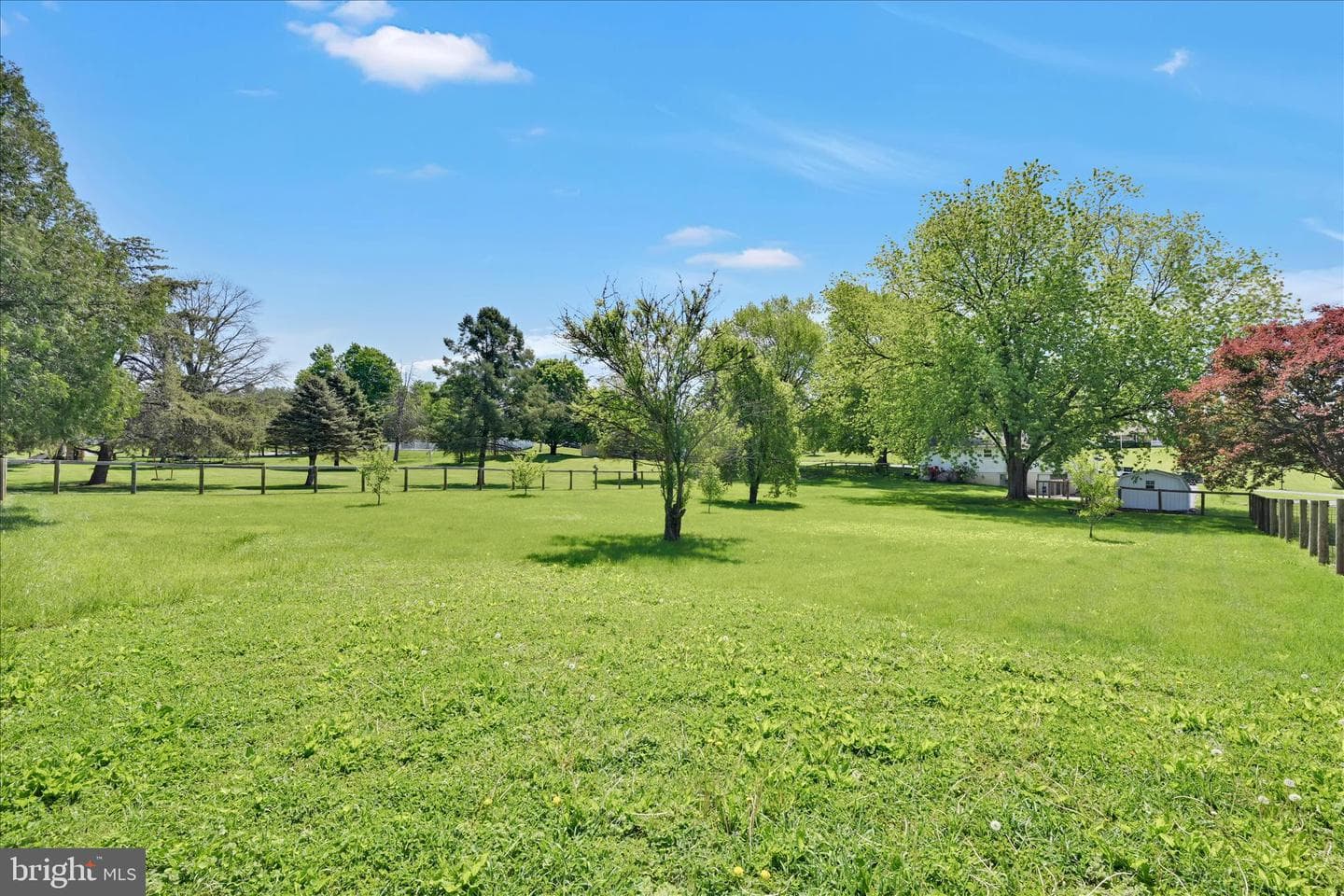 255 Kathy Court photo 34