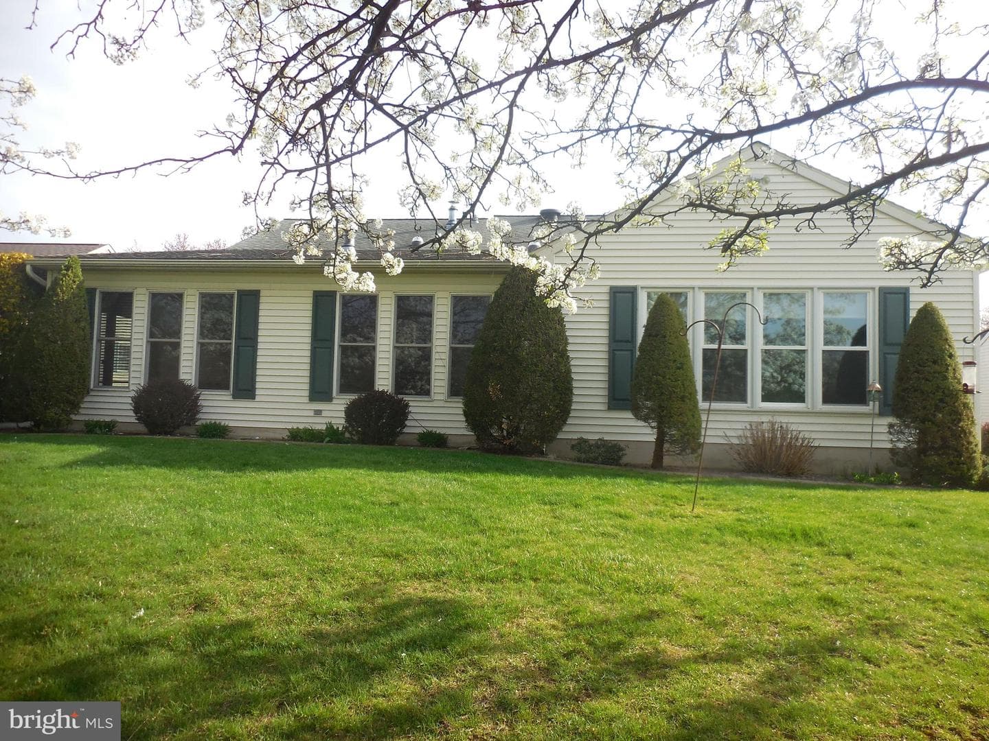 39 Springhouse Drive photo 7