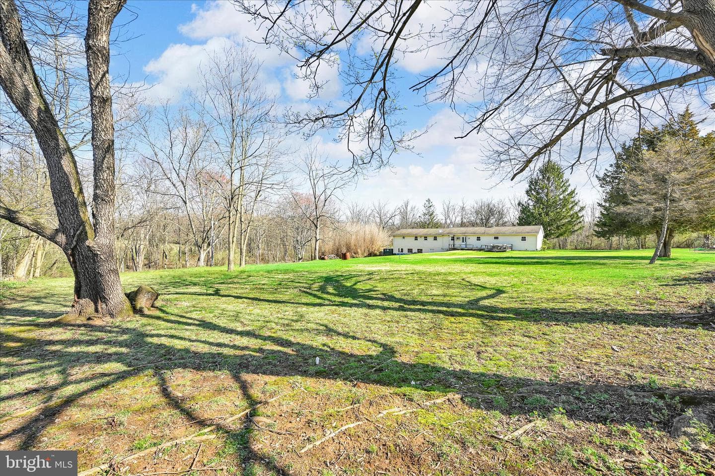 83 Silvertown Road photo 37