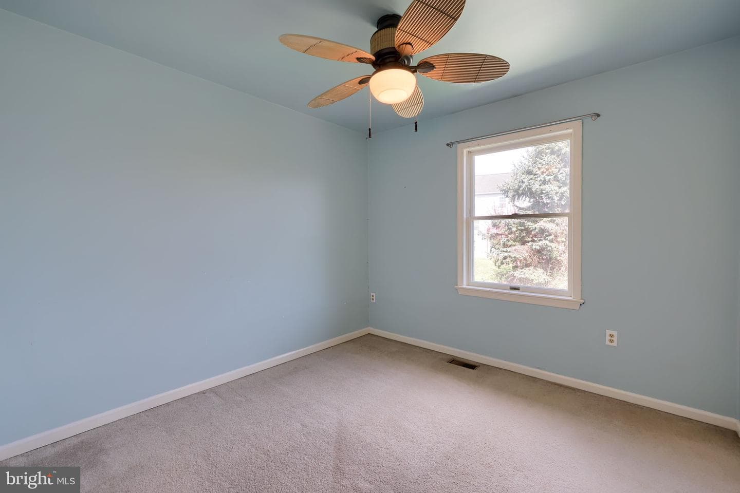 142 Palm Lane photo 23