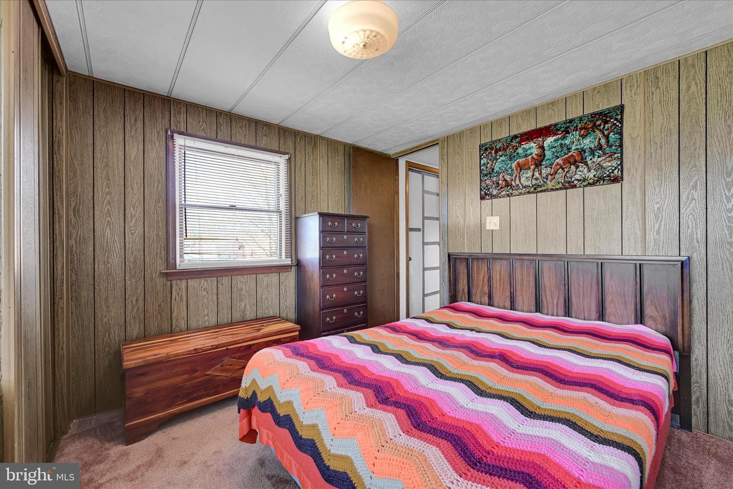 91 Williams Road photo 22