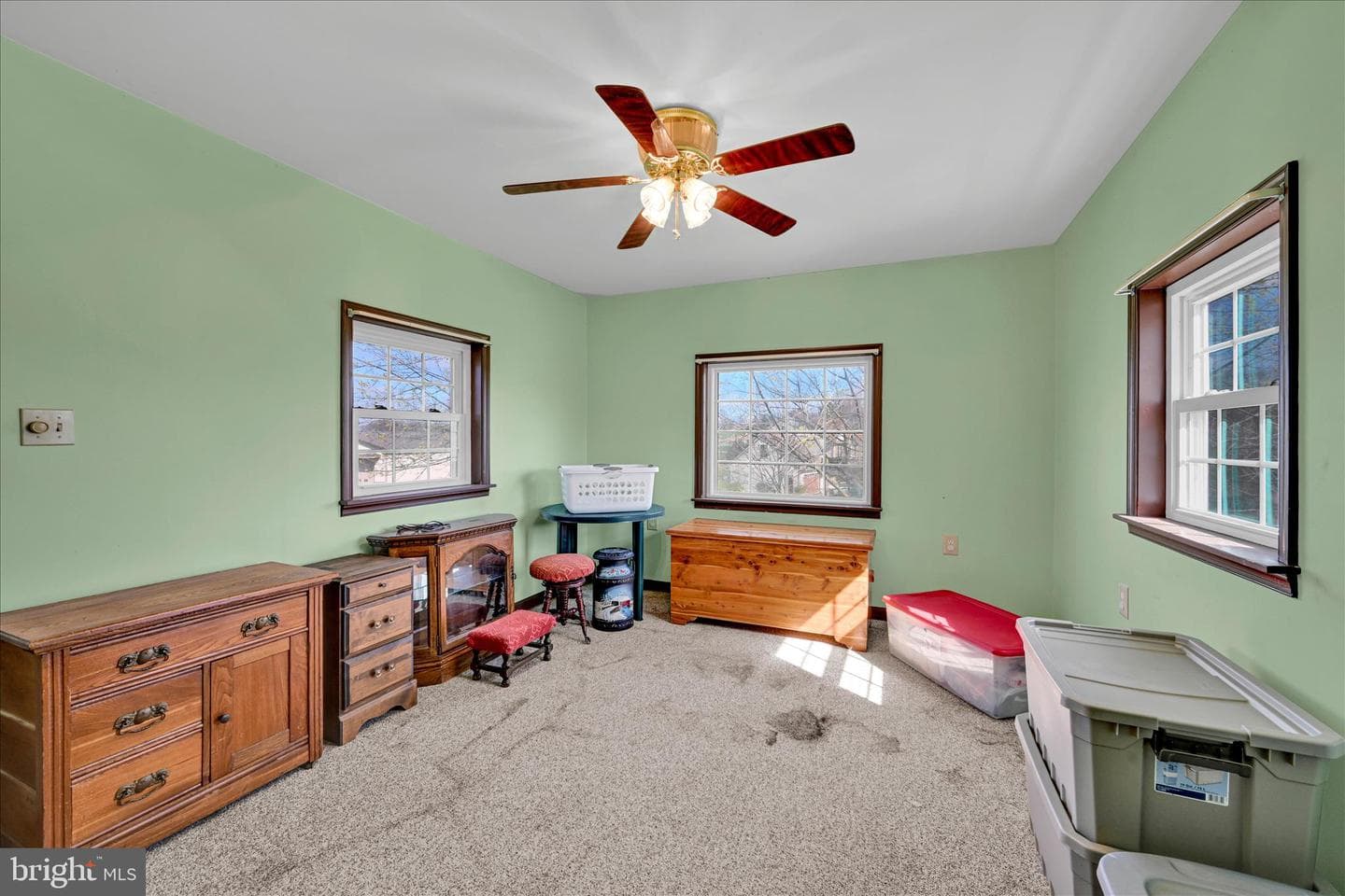 91 Williams Road photo 23