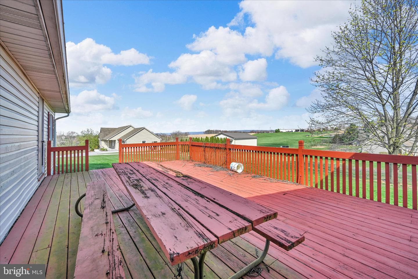 91 Williams Road photo 29