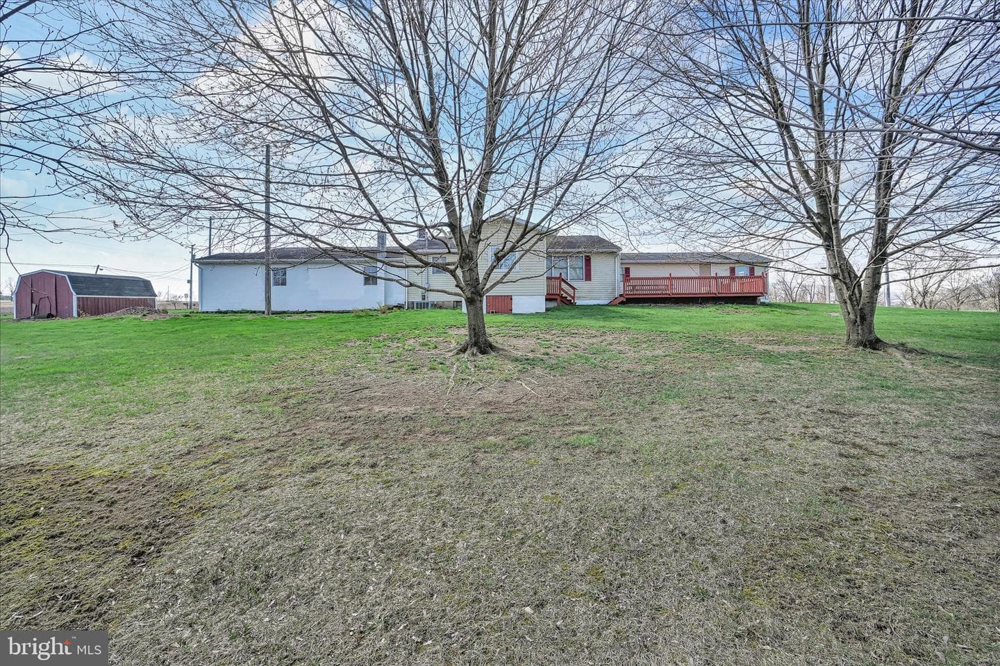 91 Williams Road photo 31