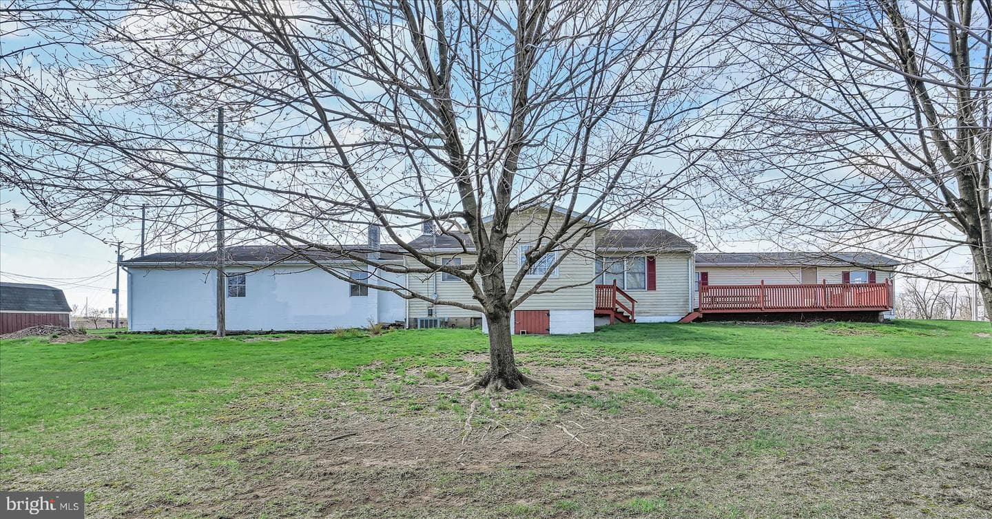91 Williams Road photo 32