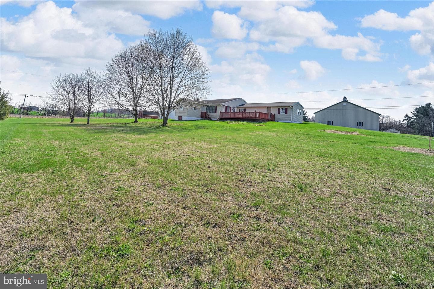 91 Williams Road photo 33