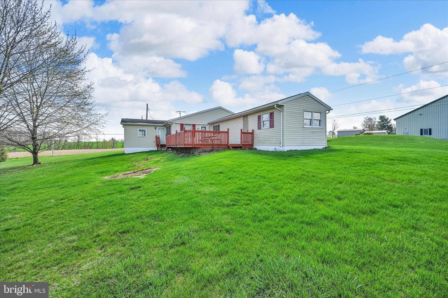 91 Williams Road photo 35