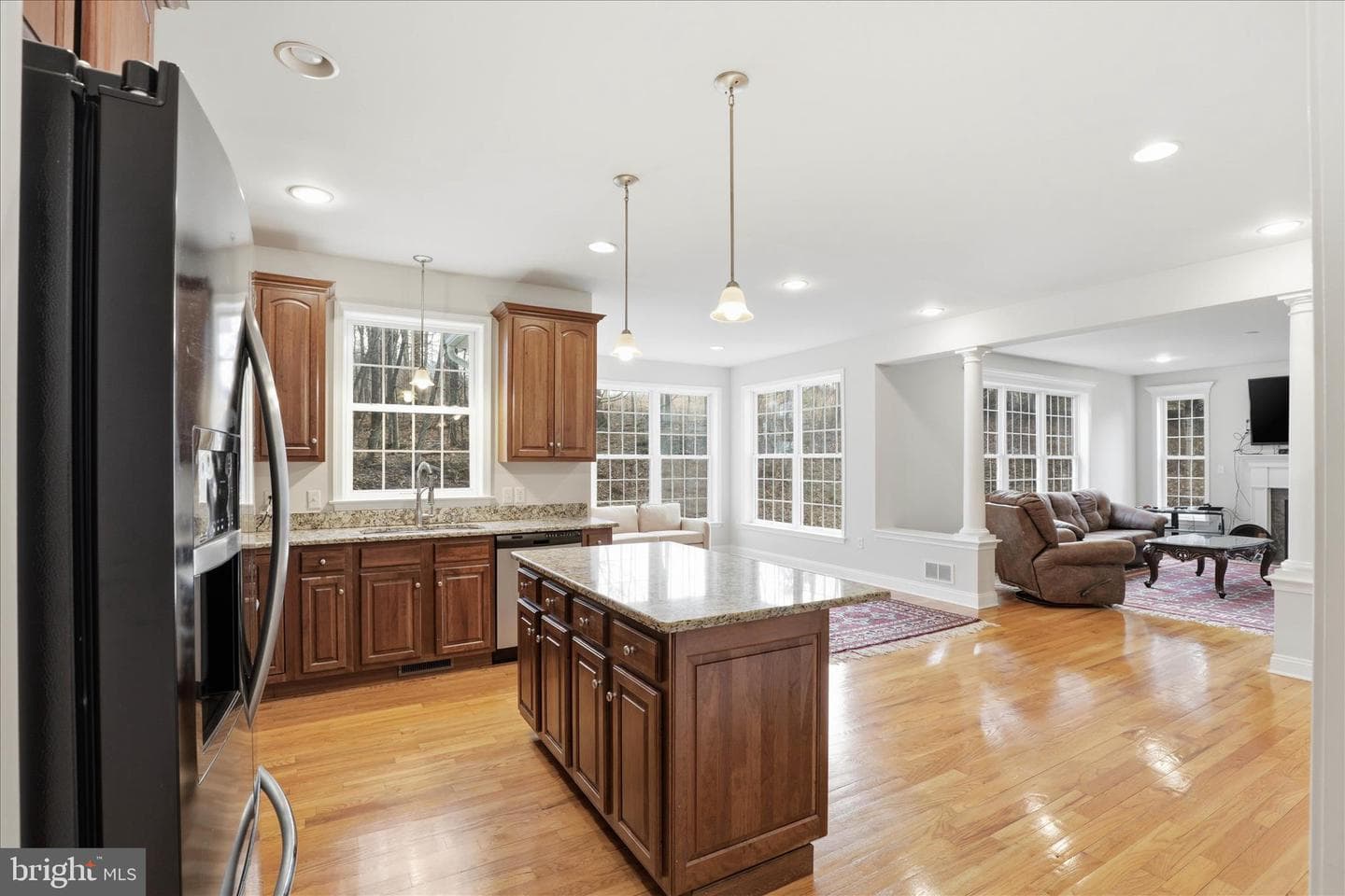 204 Iron Valley Drive photo 36