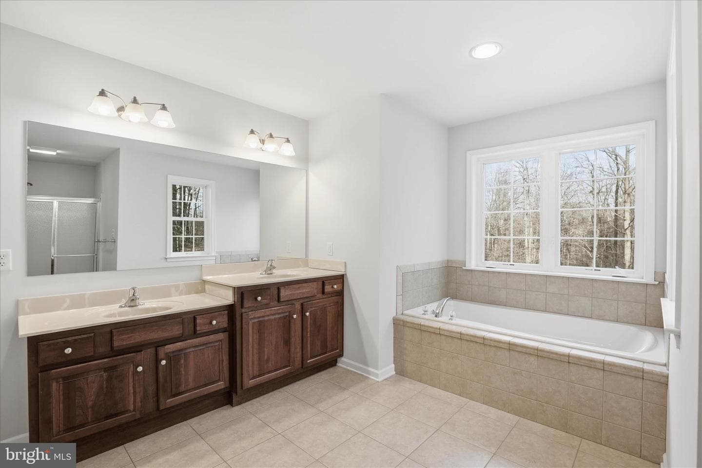 204 Iron Valley Drive photo 59