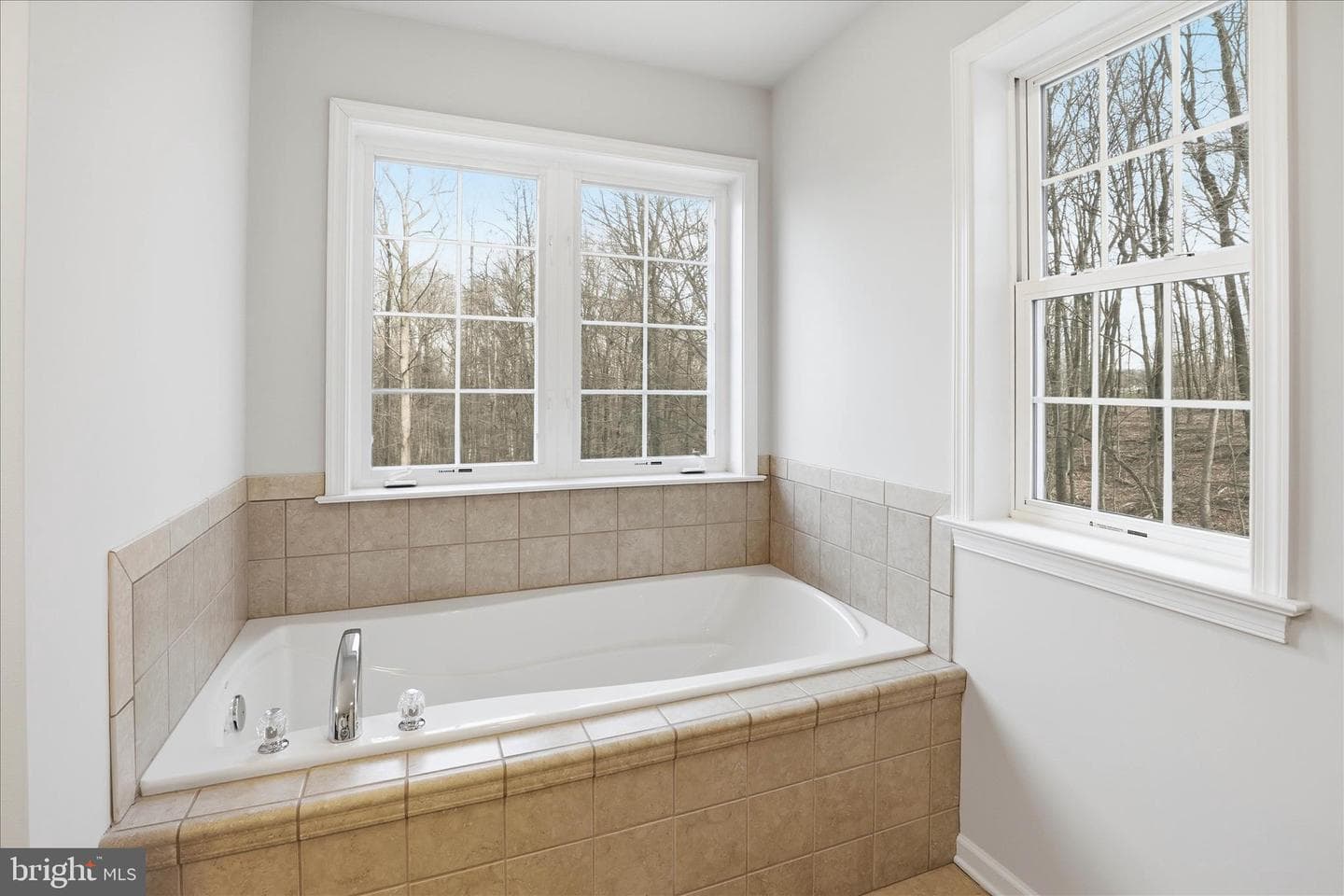 204 Iron Valley Drive photo 61