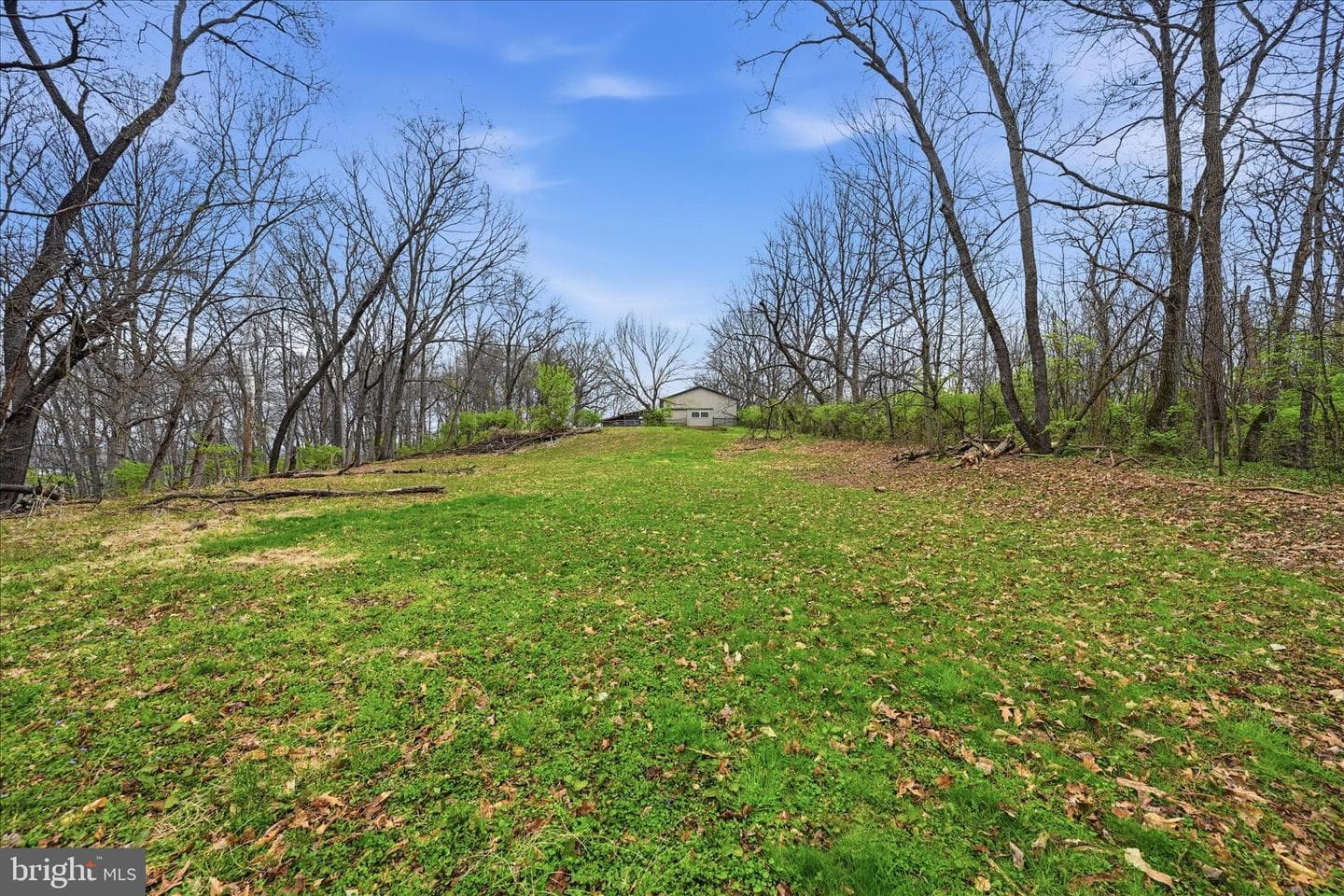 58 Zartman Lane photo 39