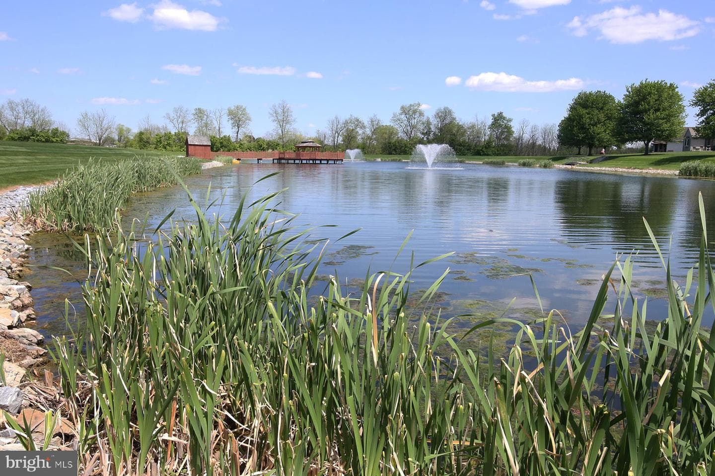 34 Scenic Drive photo 76