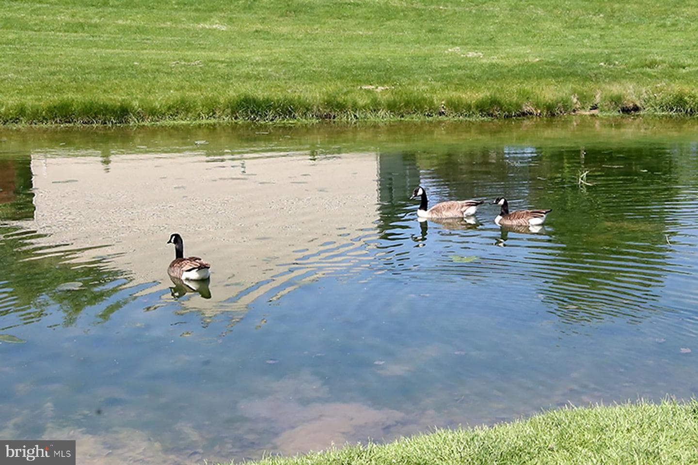 34 Scenic Drive photo 77
