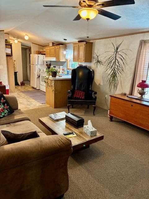 1412 Sandhill Rd 12 Sandhill Park photo 11