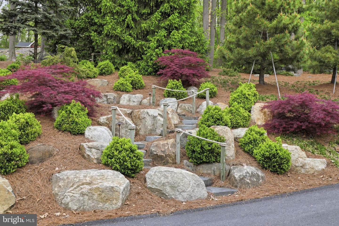 1403 Douglas Fir Drive photo 5