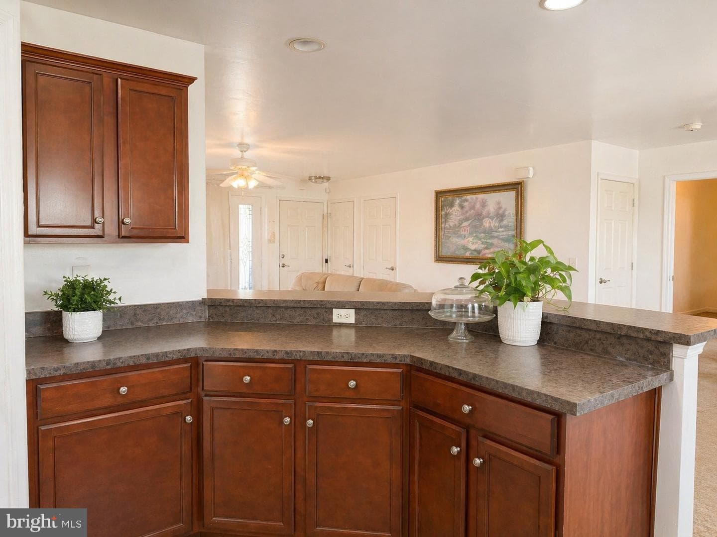 852 Walnut Crest Drive photo 4