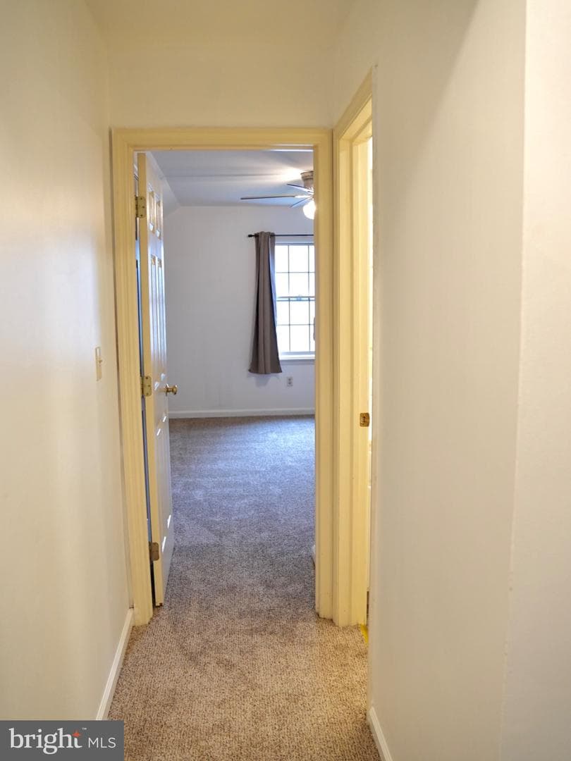 69 English Drive photo 19