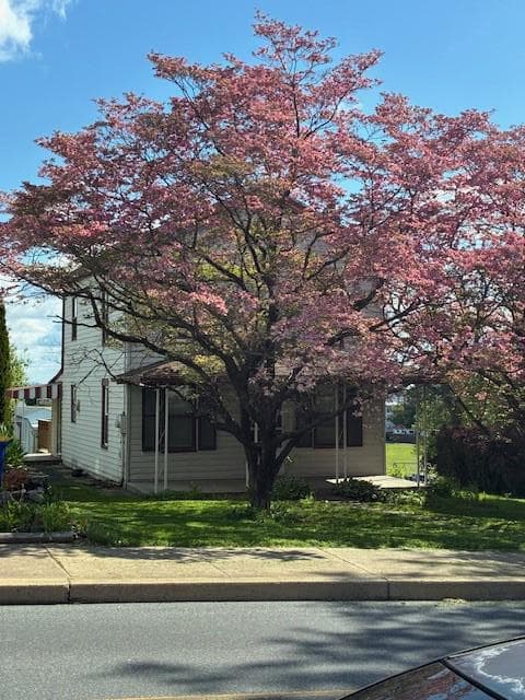 29 W Main Street photo 2