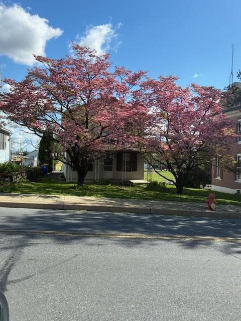 29 W Main Street photo 29