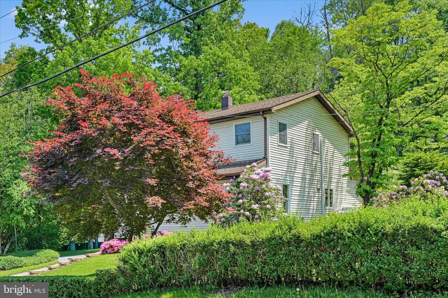 990 Mount Wilson Road photo 5