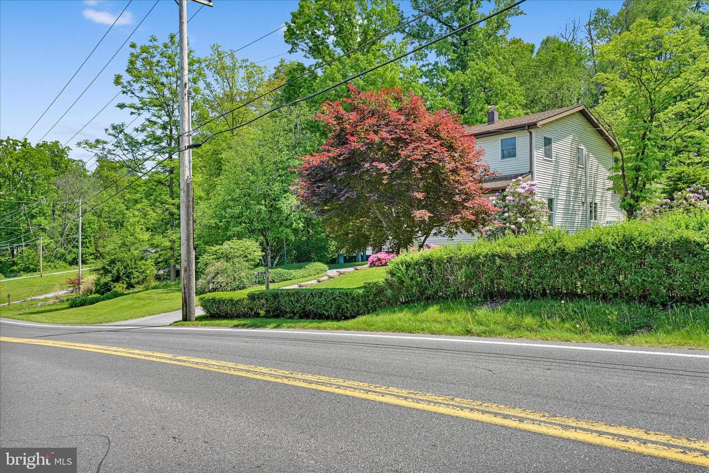 990 Mount Wilson Road photo 6