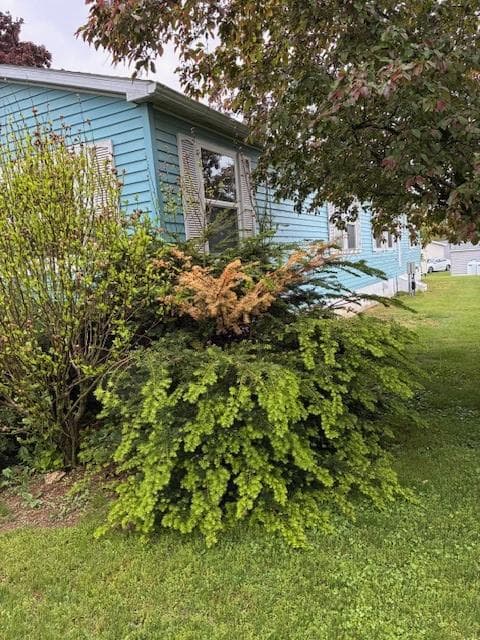 52 Carol Ann Drive #52 photo 2