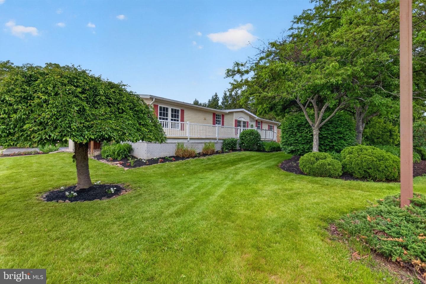 684 W Cedar Street photo 2