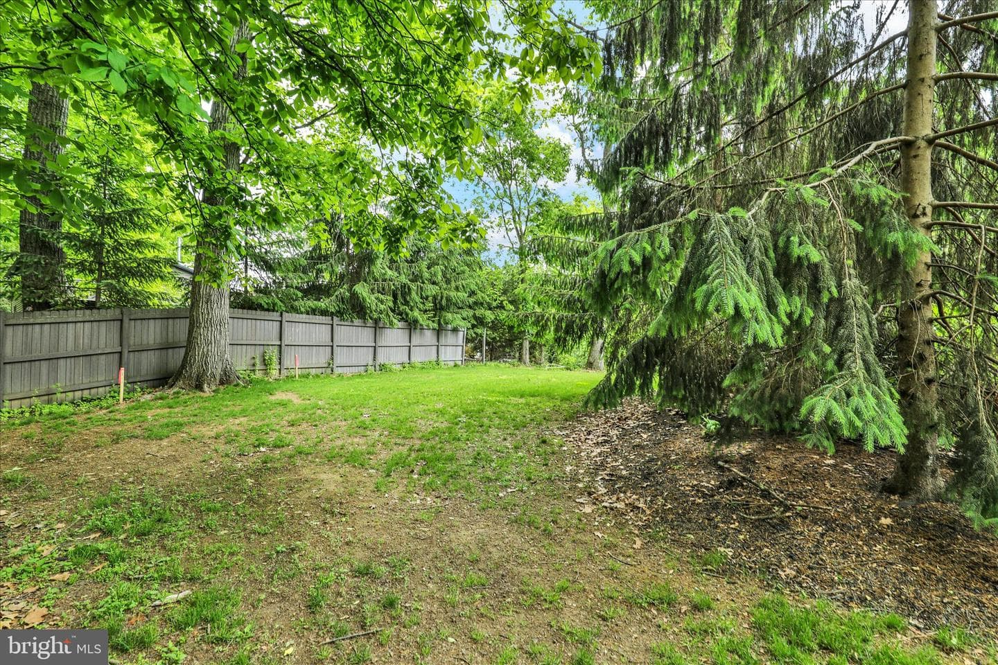3701 Hill Church Road photo 8