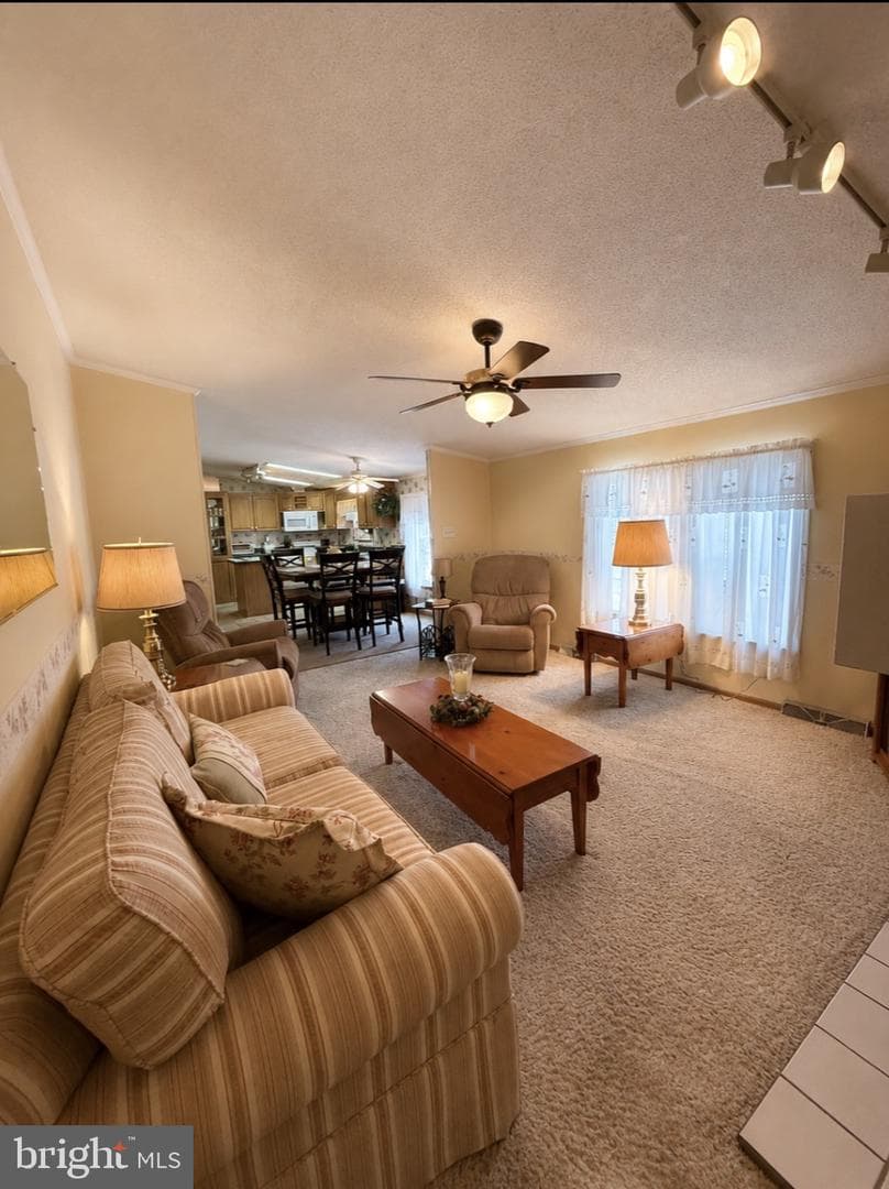 137 Juniper Street photo 14