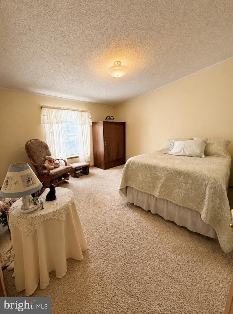 137 Juniper Street photo 15