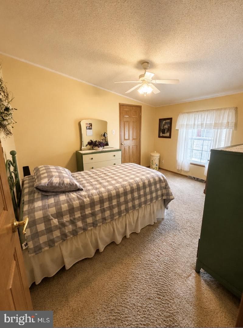 137 Juniper Street photo 17