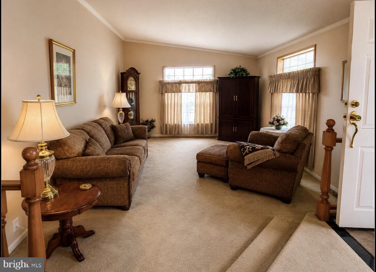 137 Juniper Street photo 5