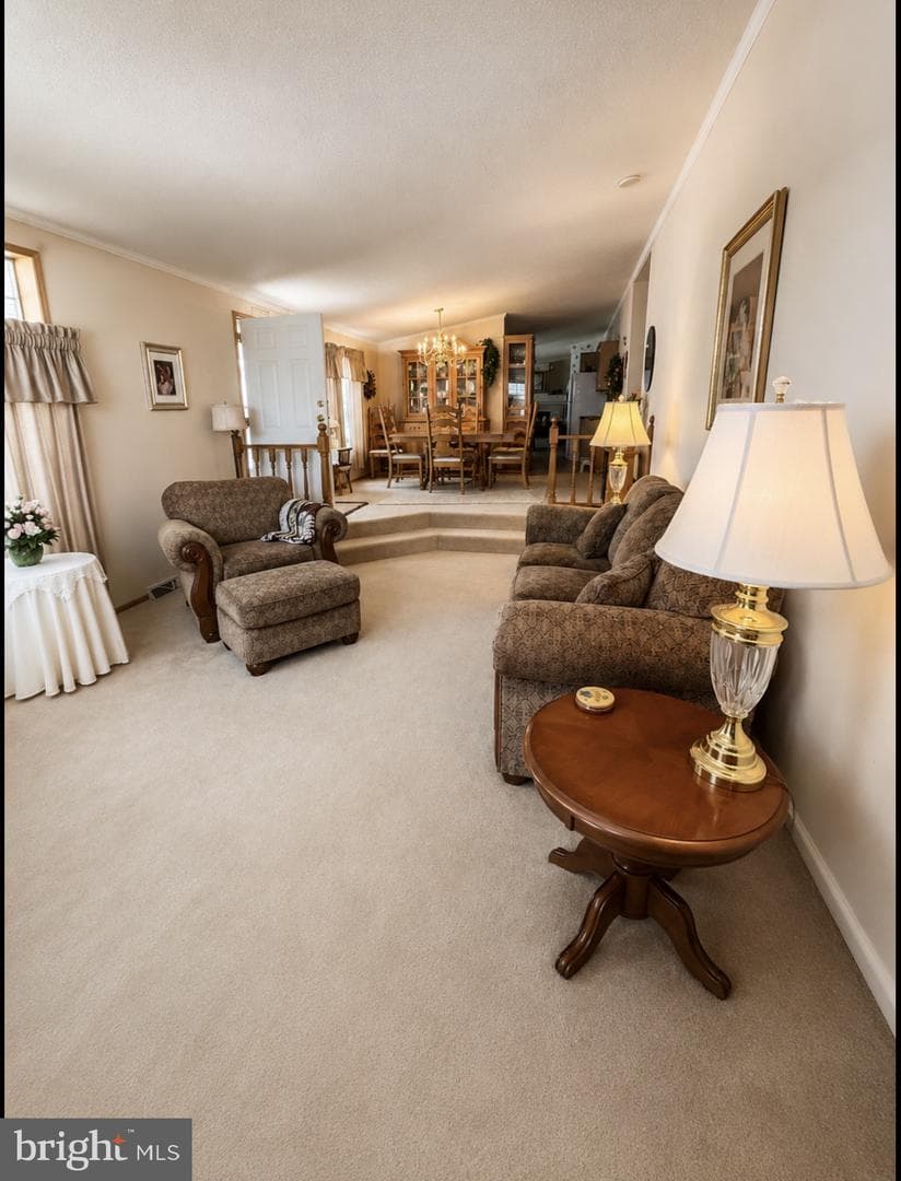 137 Juniper Street photo 6