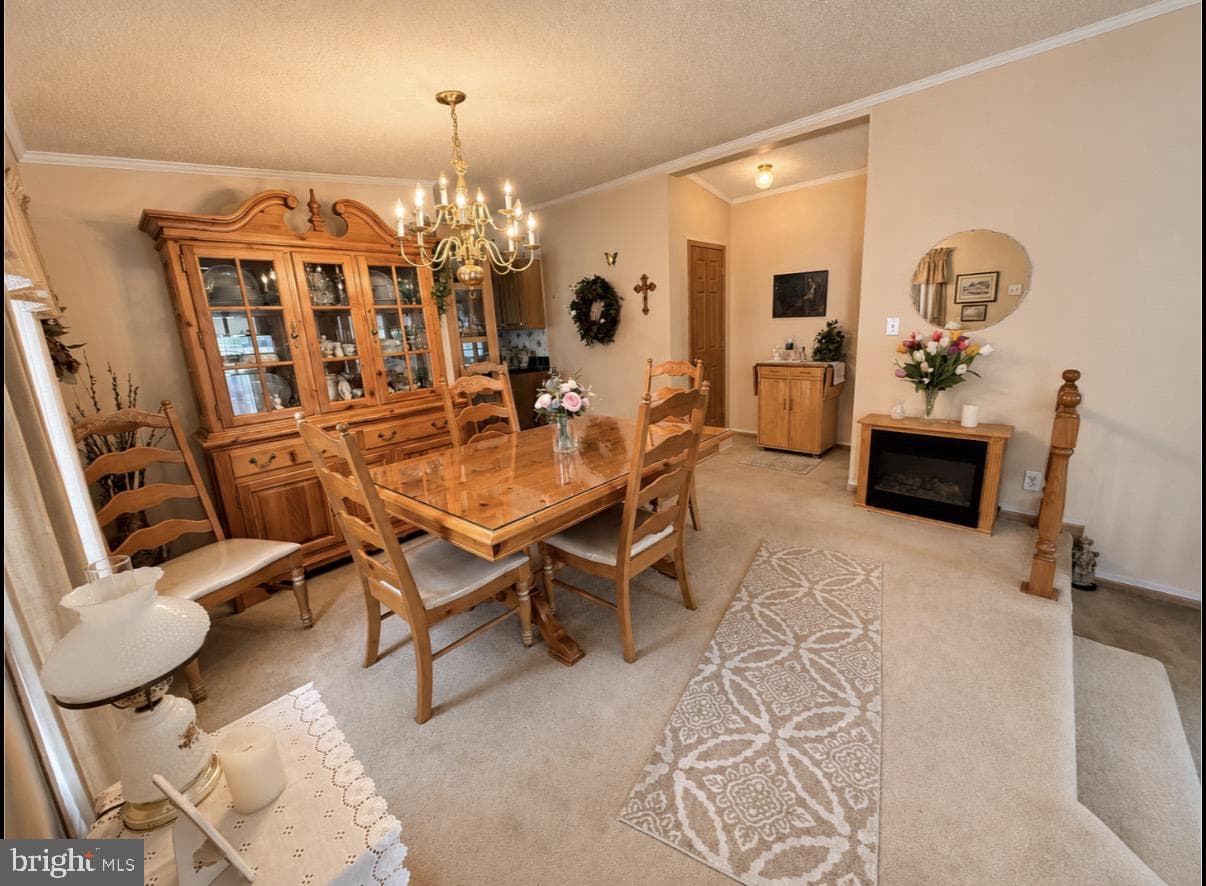 137 Juniper Street photo 7