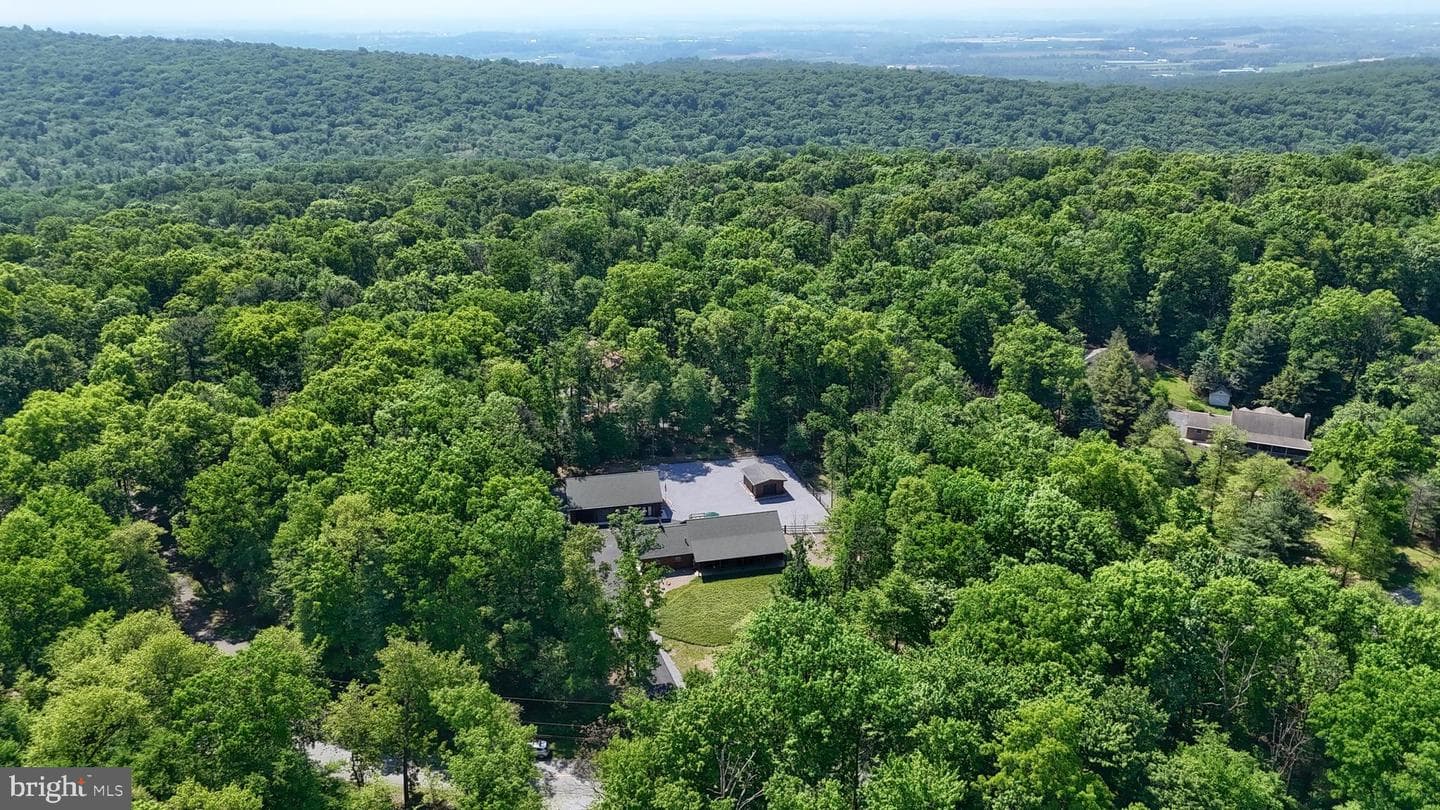 1005 Tulip Tree Drive photo 2