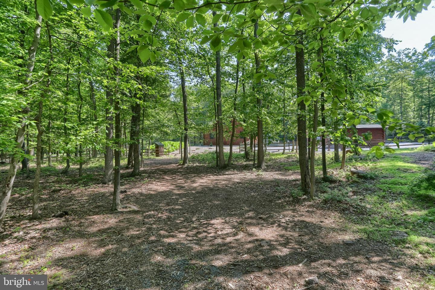 1005 Tulip Tree Drive photo 56