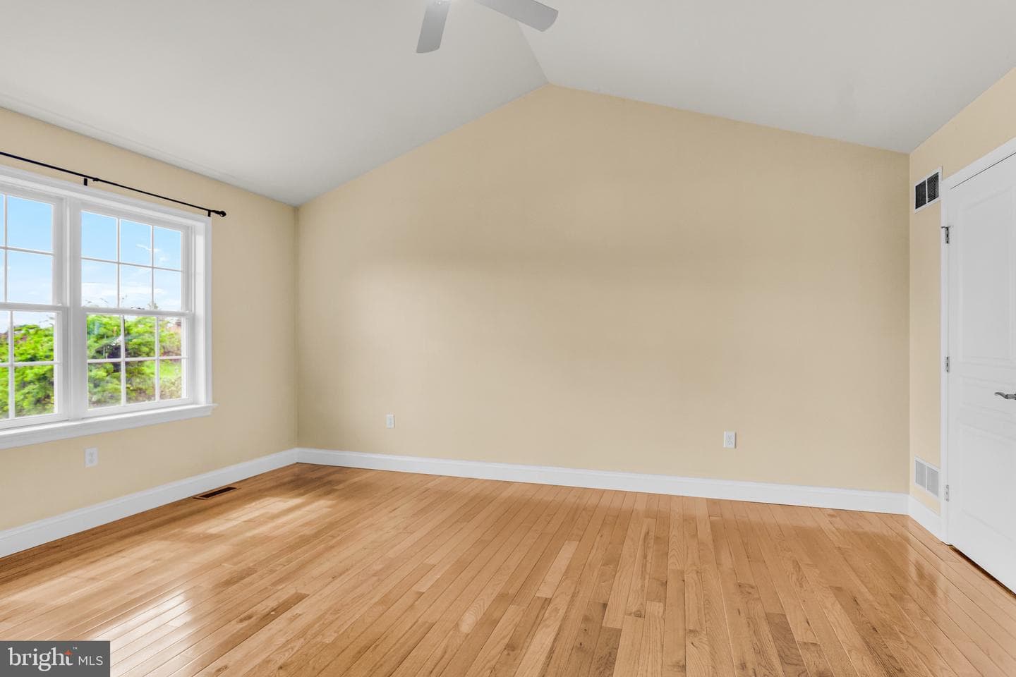 25 Springbrook Drive photo 19
