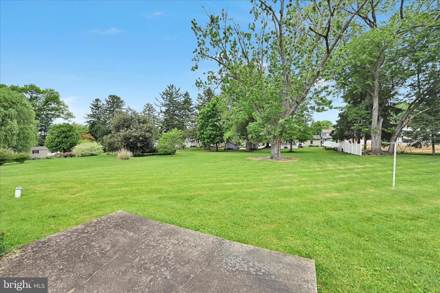 109 Spruce Street photo 24