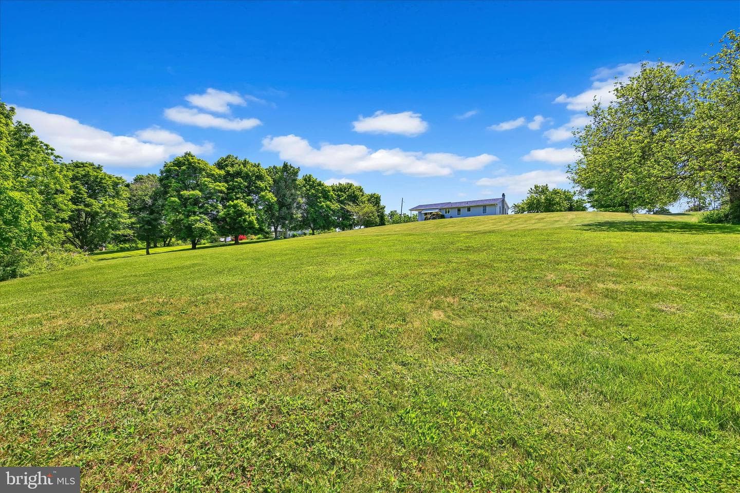 10308 Allentown Boulevard photo 36
