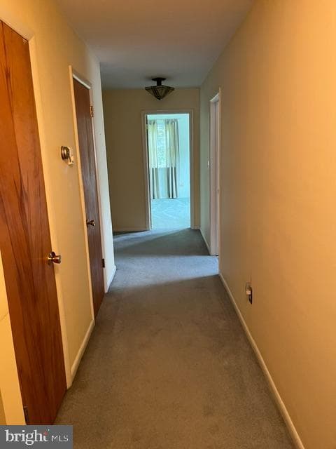 15 Stoneleigh Drive photo 13