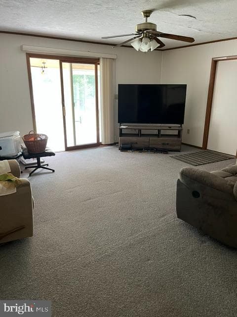 15 Stoneleigh Drive photo 4