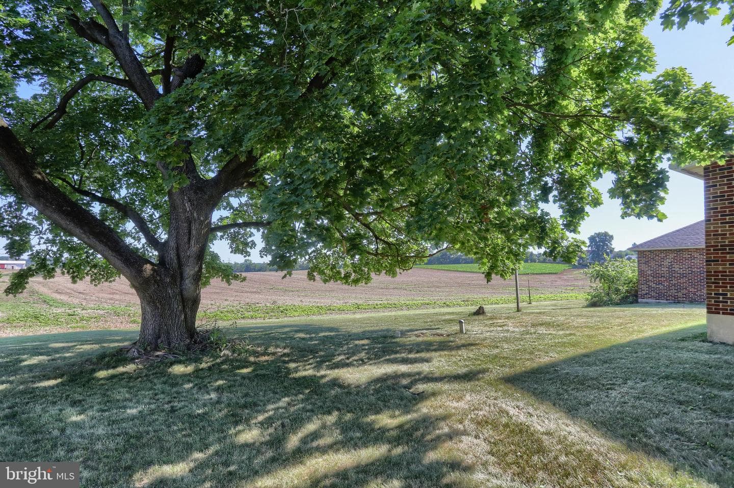 1411 Jay Street photo 48