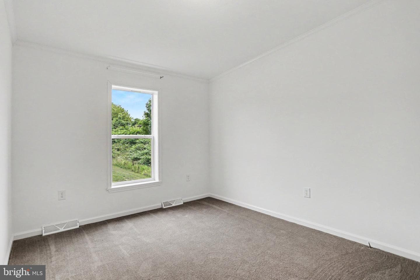 52 Evergreen Aly photo 32