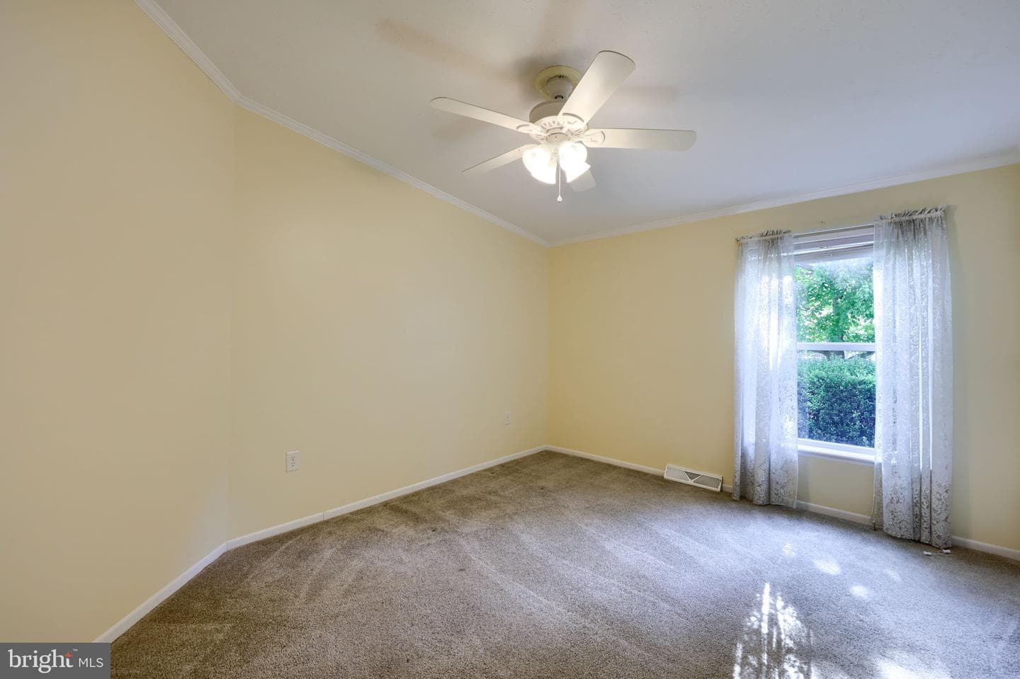 1037 Hemlock Circle photo 28