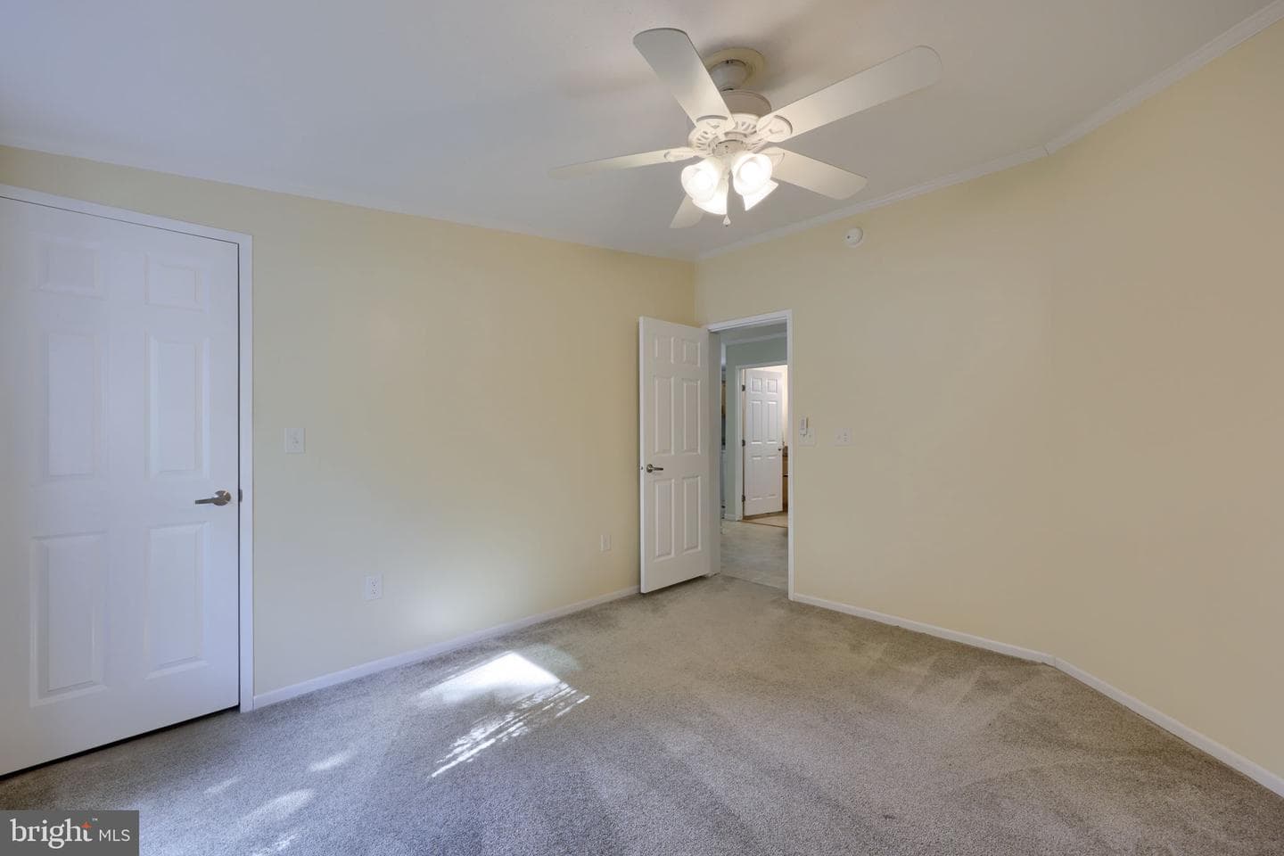 1037 Hemlock Circle photo 29