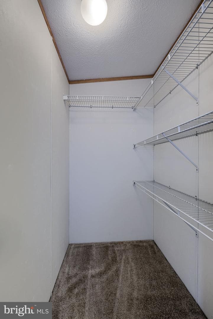 1037 Hemlock Circle photo 30