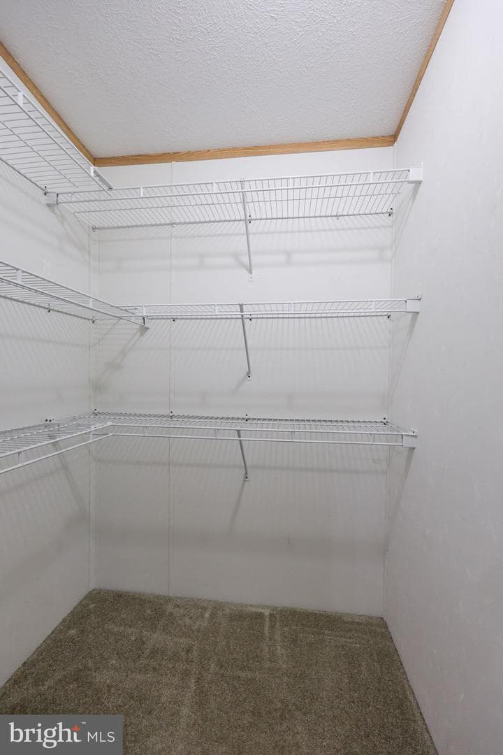 1037 Hemlock Circle photo 32
